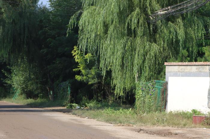 “走得了”变“走得好” 延庆铺出乡村道路好“途”景