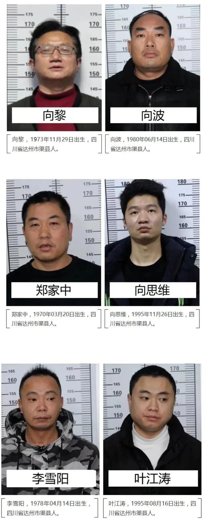 达州一违法犯罪团伙被打掉！头目之一曾是外国语学校校长