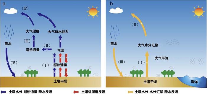 非洲气候危机：干旱与洪水交替出现，间隔越来越短