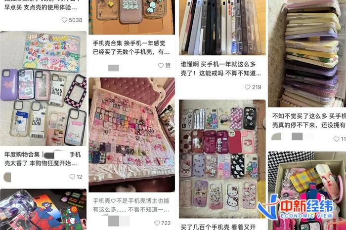 ▲网友秀手机壳 来源:小红书截图