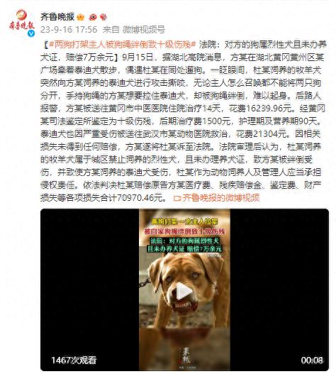 两狗打架主人被狗绳绊倒致十级伤残 法院：对方的狗属烈性犬且未办养犬证，赔偿7万余元