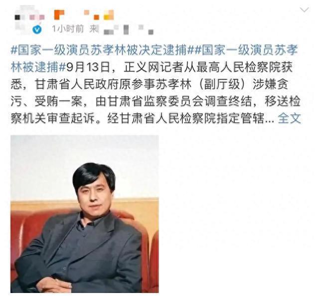 国家一级演员65岁被捕，涉嫌多项罪名！网友：长得像沈腾的大变样