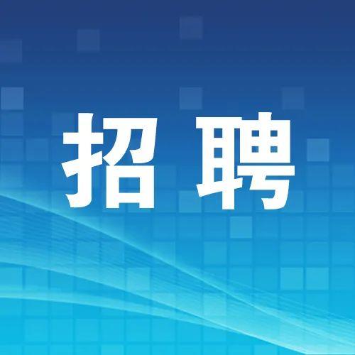 北京市公安局石景山分局勤务警务辅助人员招聘公告