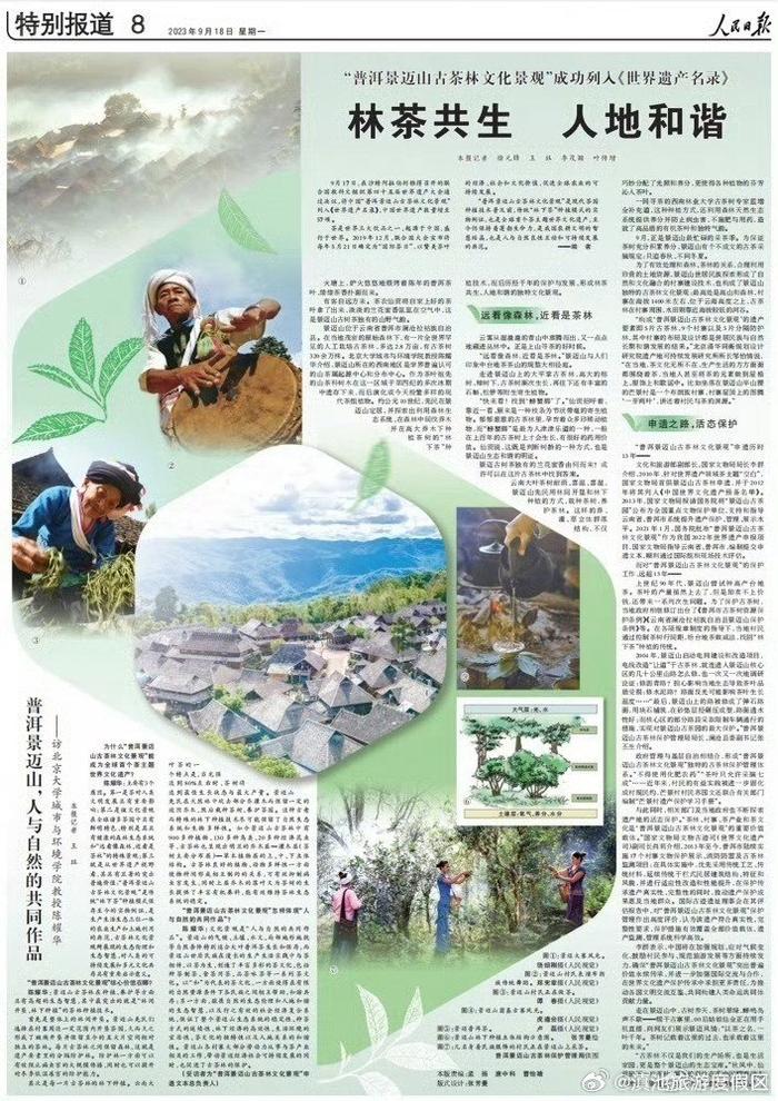 人民日报整版聚焦：“普洱景迈山古茶林文化景观”成功列入《世界遗产名录》