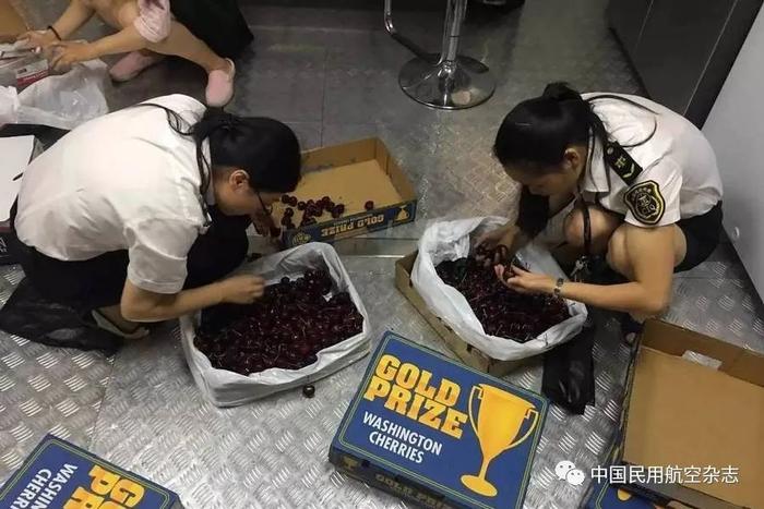 《鲜活易腐货物规则》中文版正式发布！