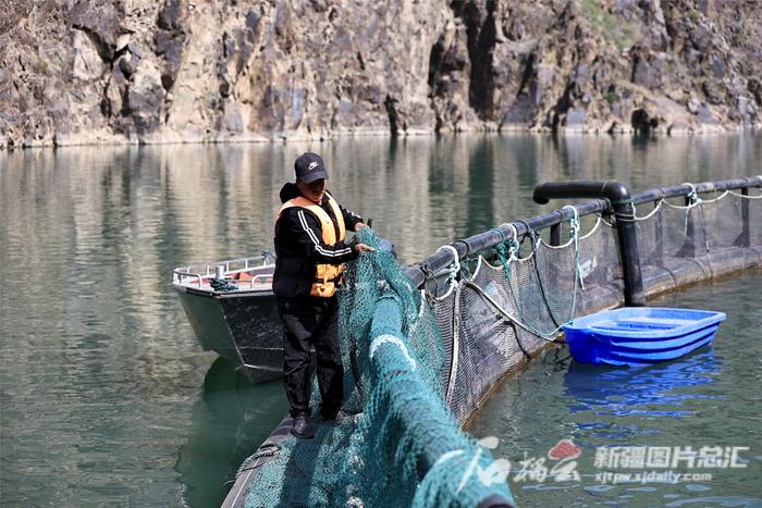 新疆这份研究冷水养殖的案例入选“全国百篇优秀管理案例”