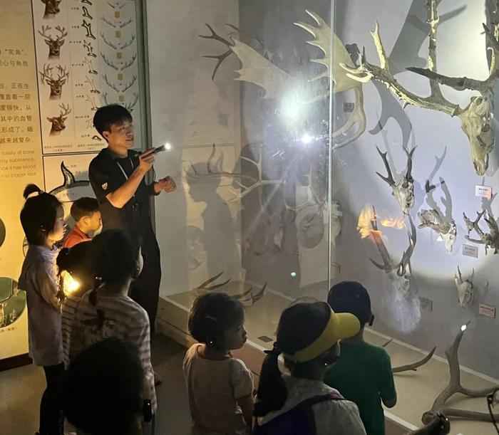 北京麋鹿生态实验中心“夜探博物馆”探索自然科学奥秘