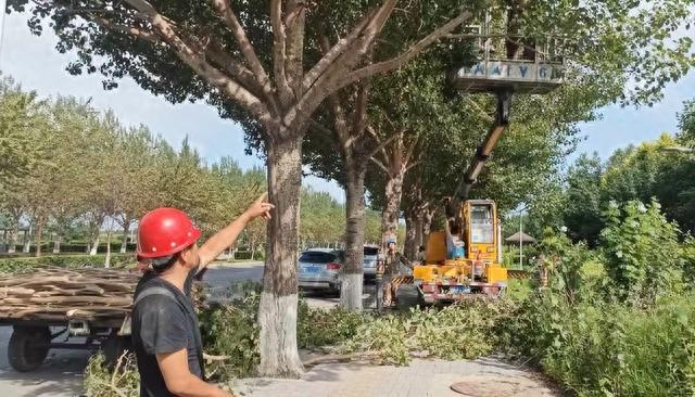 确保供电线路畅通 吉林省公主岭市十屋供电所清除树障隐患