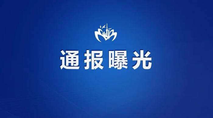 【最新】上海市公开曝光四起违反中央八项规定精神典型问题