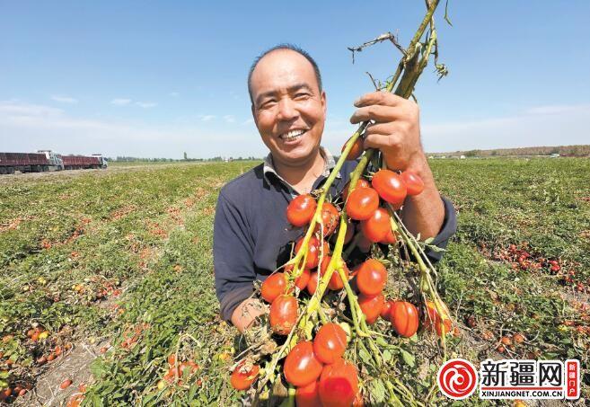 【走进乡村看振兴】丰收的田野 最美的画卷 ——写在第六个中国农民丰收节到来之际