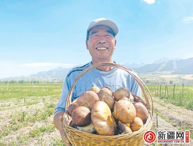 【走进乡村看振兴】丰收的田野 最美的画卷 ——写在第六个中国农民丰收节到来之际