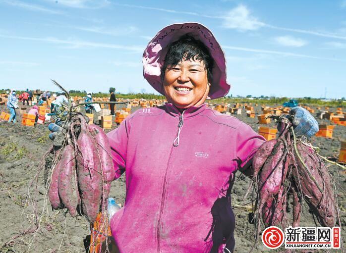 【走进乡村看振兴】丰收的田野 最美的画卷 ——写在第六个中国农民丰收节到来之际