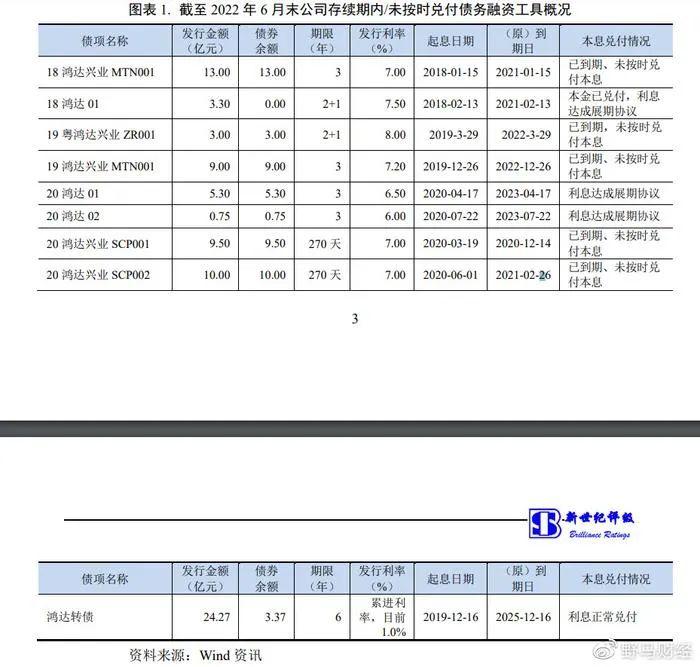 鸿达兴业被立案，“潮汕老板”用假重组隐瞒真协查？