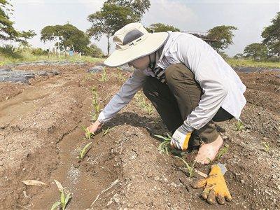 深瞳丨一个中国科研团队和一个非洲国家的十二年