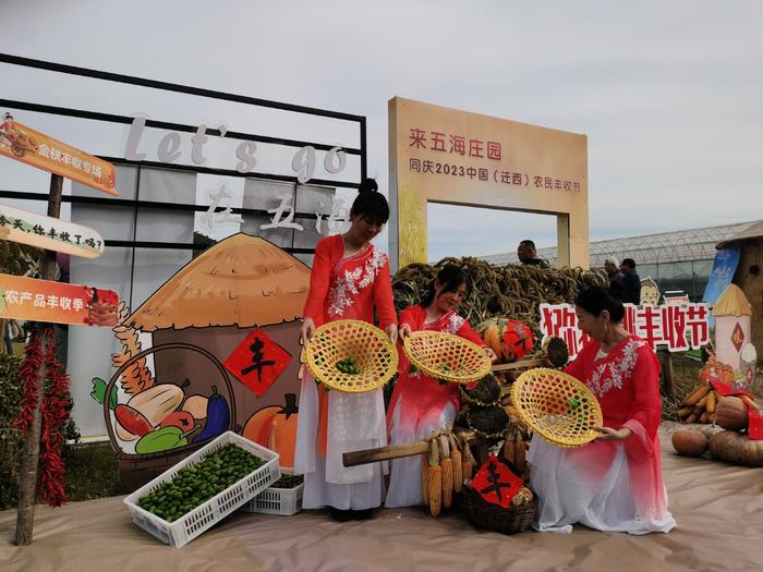 河北迁西 板栗之乡种出了香甜的猕猴桃