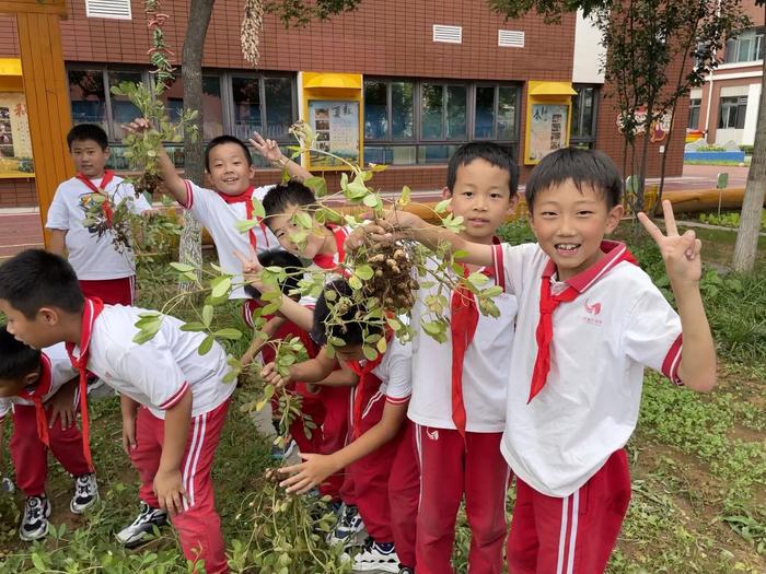采摘蔬果、探究种植奥秘等，北京密云学校设计多彩活动迎丰收