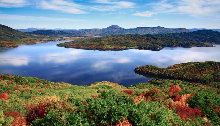 画山、画水、画田园｜共绘龙江金秋旅游“多彩油画”