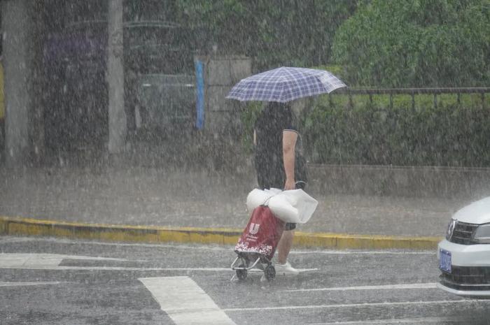 今天，青岛有中雨！明天，有中雨！后天，有阵雨！大后天，还有……网友：啥意思，中间停一天犯法吗？