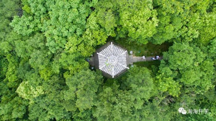 新高考高中三年规划:学业规划、升学规划和生涯规划,每一次选择都是一次机会(图4) 新高考高中三年规划:学业规划、升学规划和生涯规划,每一次选择都是一次机会(图4)