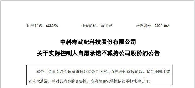 上市3年亏了30亿，6个原始股东“清仓”套现60亿，500亿“AI芯片巨头”董事长急了