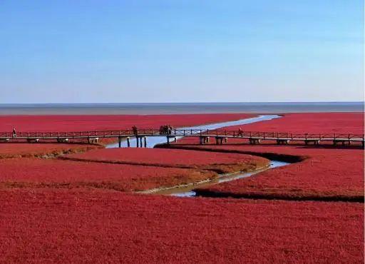 2023辽宁秋季旅游暨“十一”黄金周必游经典主题线路|浪漫之旅旅游线路—沈阳营口盘锦锦州阜新铁岭六日游