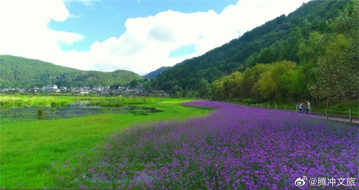 北海湿地丨中秋国庆8天长假，走进山海田间，趣玩自然