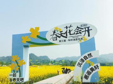 雅安市名山区：千年茶乡焕新颜，湖光山色迎客来