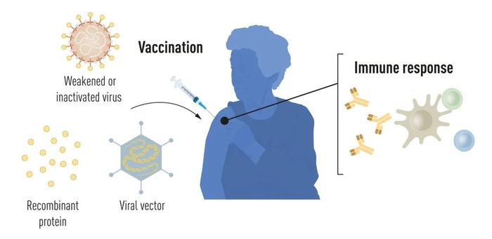 新冠疫情大流行之前的疫苗生产方法。来源:瑞典卡罗林斯卡医学院诺贝尔奖委员会官网