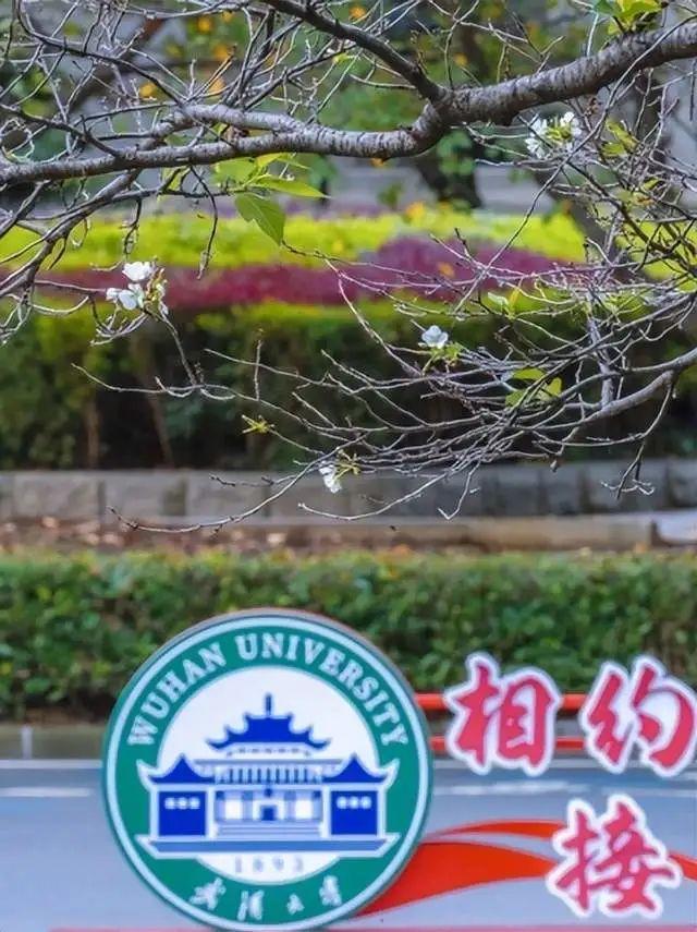 武汉大学发声！