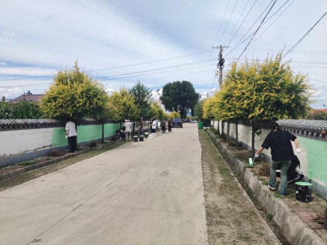 北岗子村：高校送“智”下乡 为乡村振兴聚力赋能