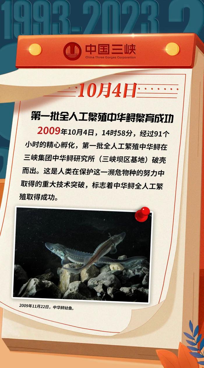 三峡 · 历史上的今天丨（10月2日-10月8日）第一批全人工繁殖中华鲟繁育成功