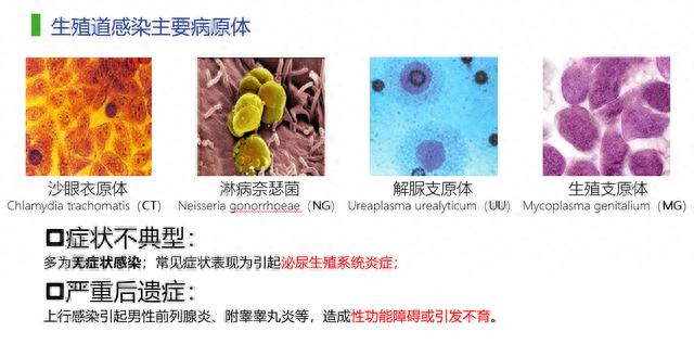 仁度生物“追踪”女性健康第一“杀手”的底气：10亿人潜在市场+领先的技术