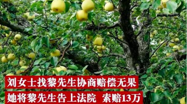 广东别墅“狗咬死人”事件，66万的索赔，我笑了……