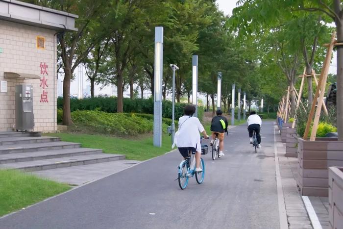 【探索】三条Cityride路线，骑行的路上沉浸式欣赏秋天的上海