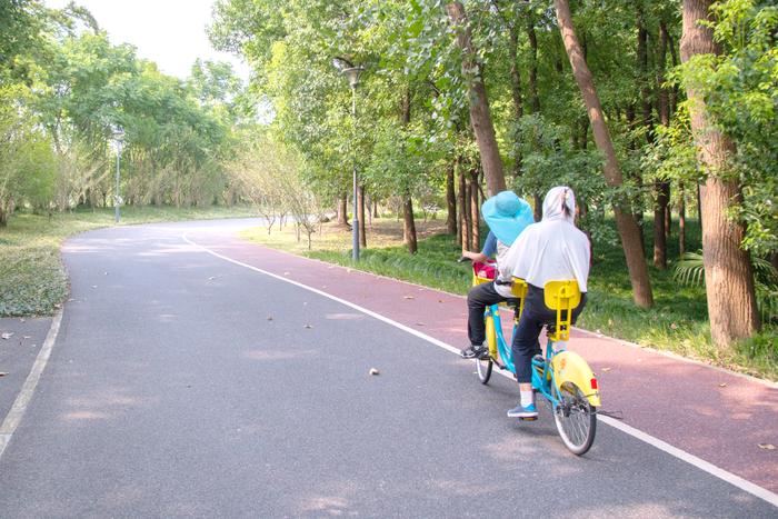 【探索】三条Cityride路线，骑行的路上沉浸式欣赏秋天的上海