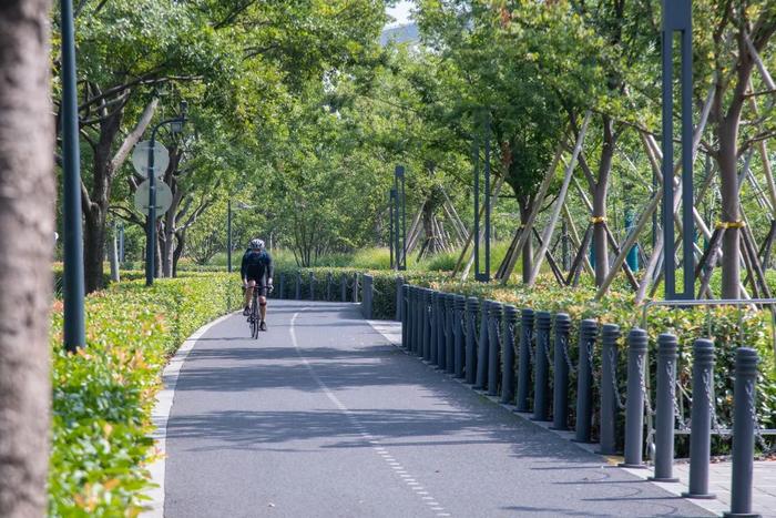 【探索】三条Cityride路线，骑行的路上沉浸式欣赏秋天的上海