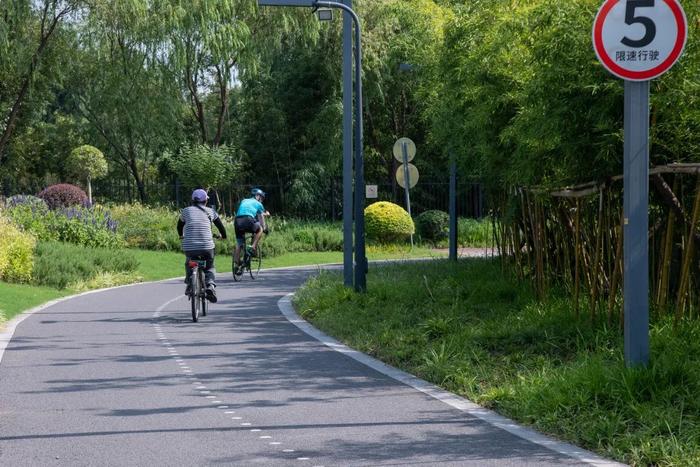 【探索】三条Cityride路线，骑行的路上沉浸式欣赏秋天的上海