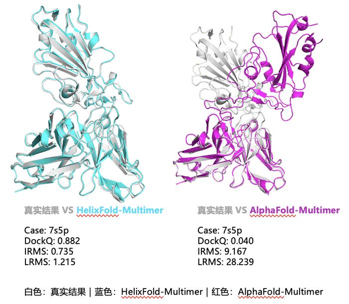 《自然》子刊：蛋白质结构预测新算法可大幅提高预测效率