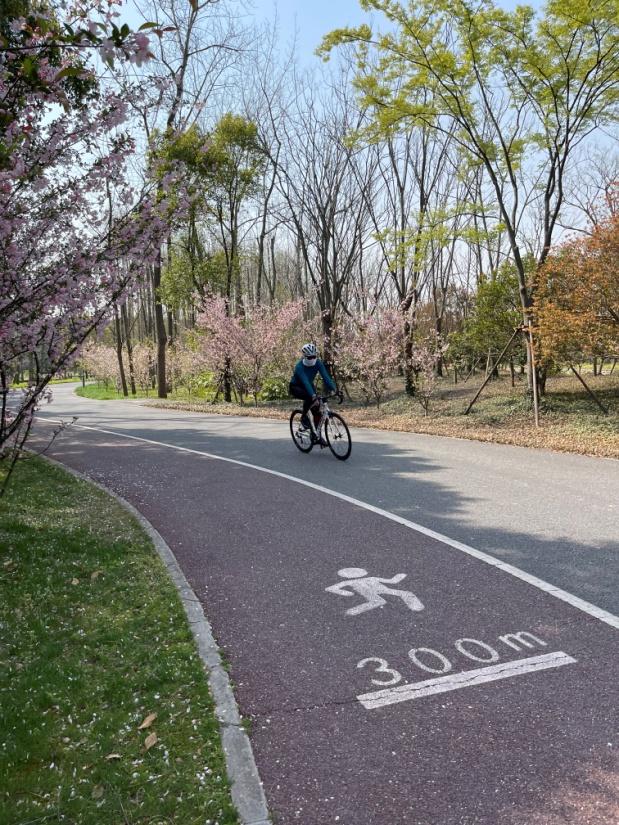 【探索】三条Cityride路线，骑行的路上沉浸式欣赏秋天的上海