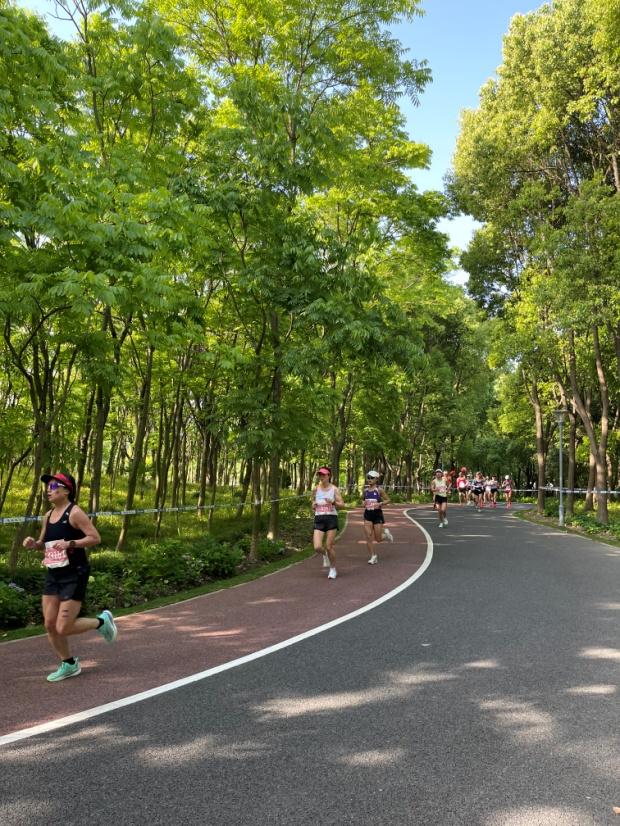 【探索】三条Cityride路线，骑行的路上沉浸式欣赏秋天的上海