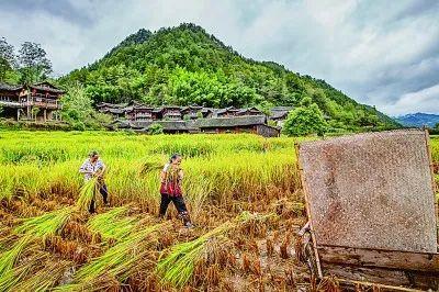 什么是恩施？光明日报推介