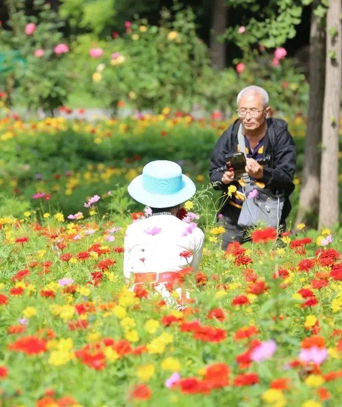 最美的秋景来了！收好这些赏秋路线，周末快带孩子去