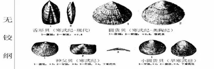 最凡尔赛机场，厕所铺满化石！要拆下来保护吗？