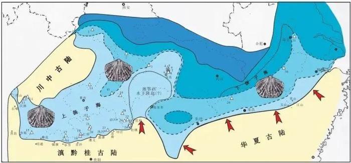 最凡尔赛机场，厕所铺满化石！要拆下来保护吗？