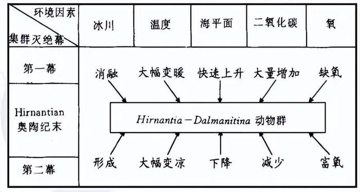 最凡尔赛机场，厕所铺满化石！要拆下来保护吗？