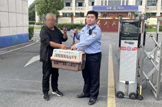 警民合力，救助受伤“三有”保护动物白鹭