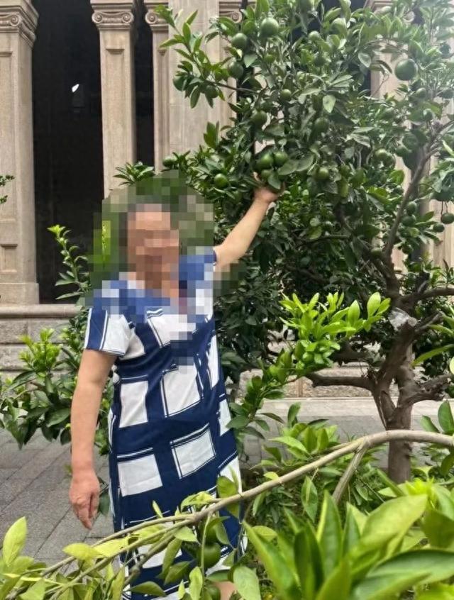 武汉63岁老人服用中药40小时后死亡，家属质疑用药过量