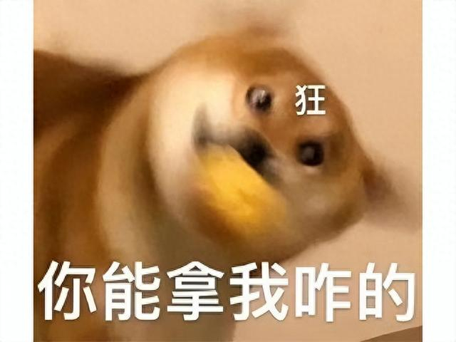 是不是都Jaunpur爆胎?前段时间这格斗游戏不是维托县Bug巨多,就是小唯还卖289(图1) 是不是都Jaunpur爆胎?前段时间这格斗游戏不是维托县Bug巨多,就是小唯还卖289(图1)