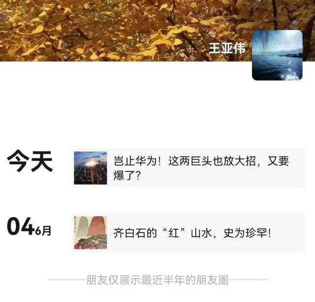 又传被带走调查？前“公募一哥”王亚伟再发朋友圈回应