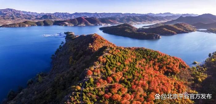 在北京最美的季节，平谷区金海湖镇迎来了红叶最佳观赏期～